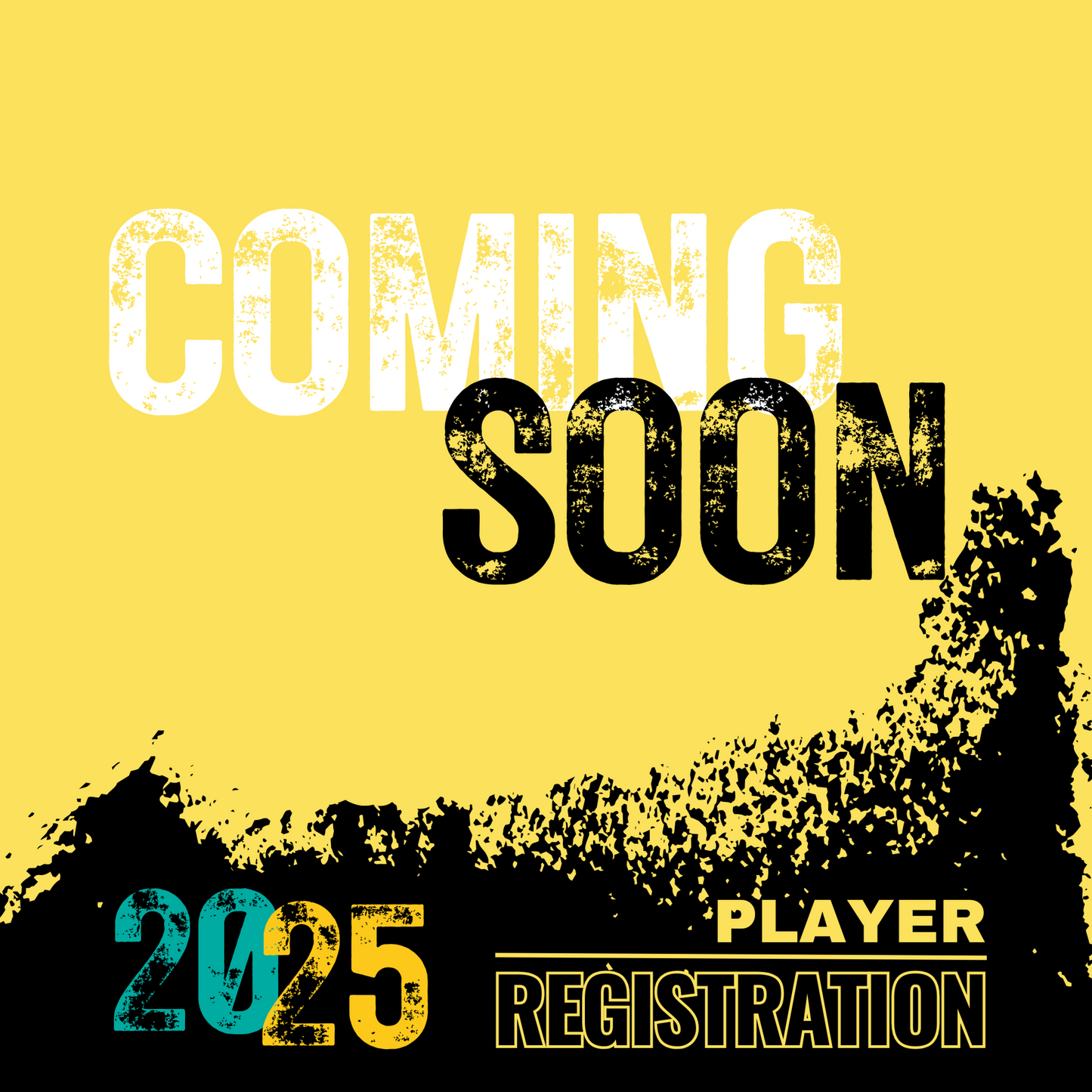 Player Registration